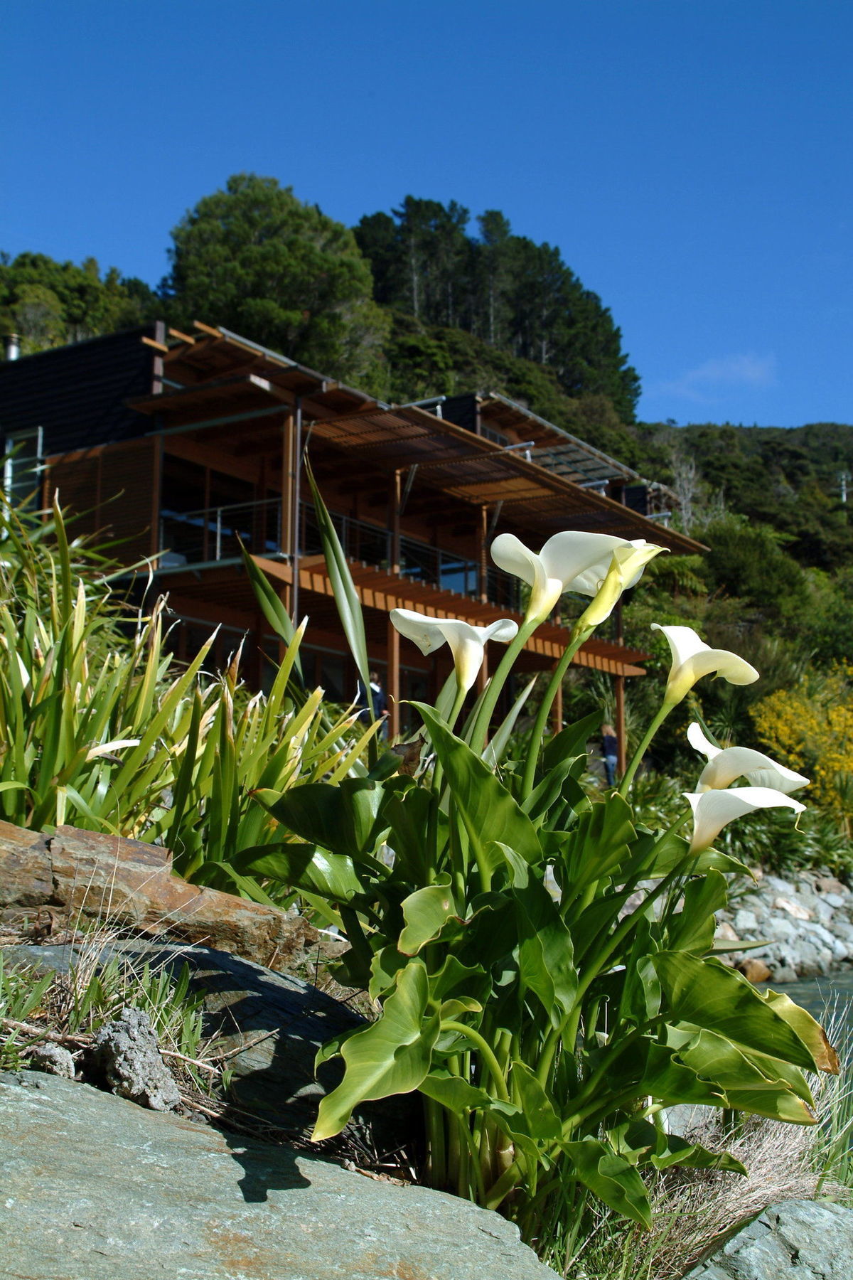 Bay Of Many Coves Hotell Arthur's Bay Eksteriør bilde